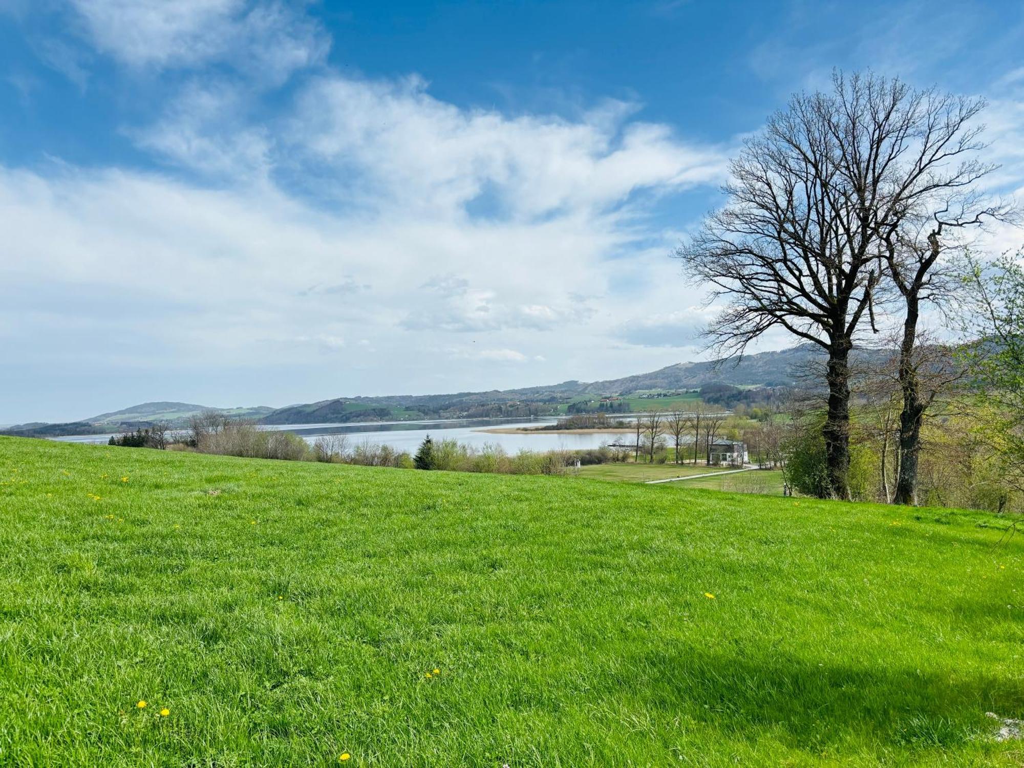 Helle Ferienwohnung am Wallersee Seekirchen am Wallersee Exterior foto